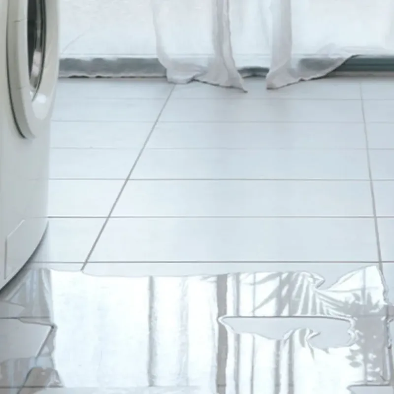 Appliance Leak Cleanup in Duluth, MN